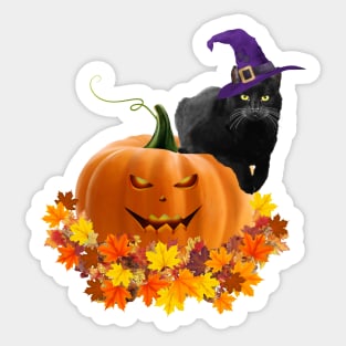 Black cat with witch hat, catoween halloween, jack pumpkin Sticker